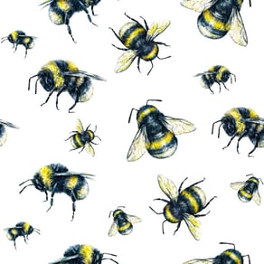 bees-fish_dburton